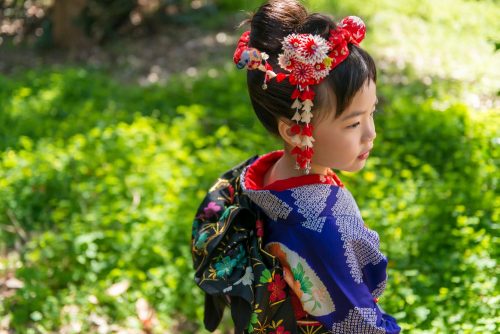 七五三　女の子アップ２